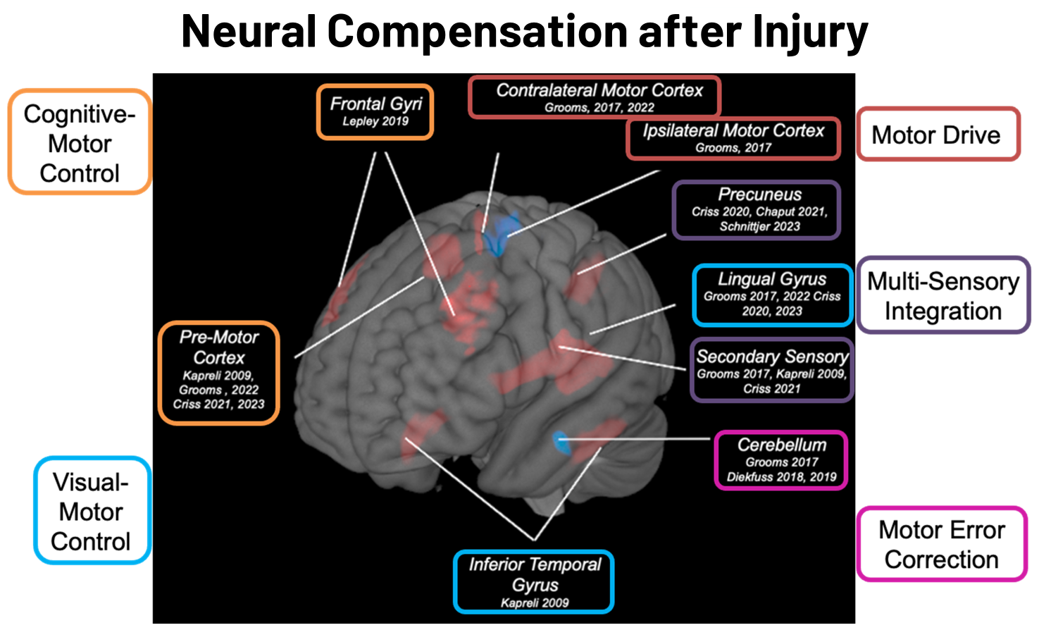 Neural compensation after injury: mapped systems contributing to motor control and error correction